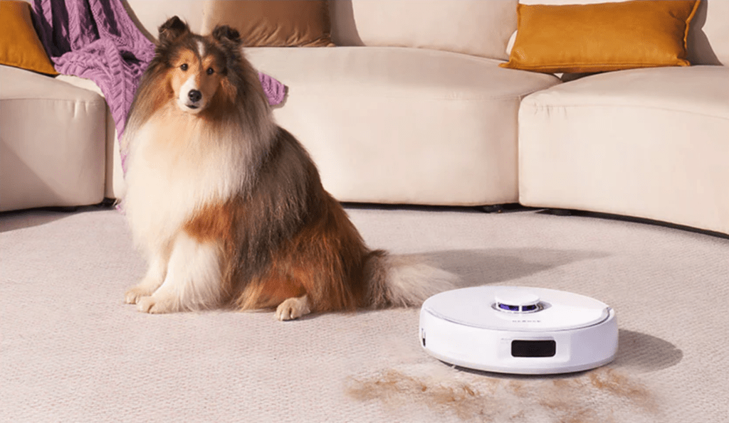 Melbourne Web Design